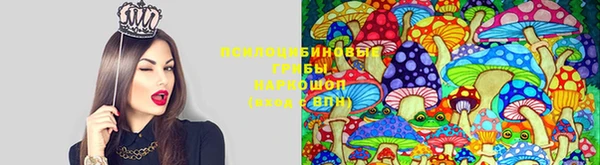 молекула духа Нязепетровск