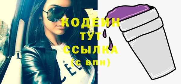 молекула духа Нязепетровск