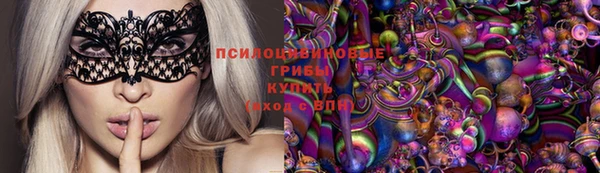 сатива Осинники